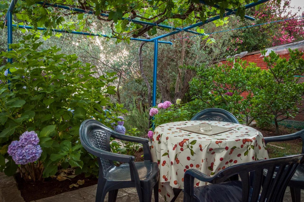 Apartments Villa Petranovic Budva Exterior photo